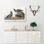 Harlequin Duck by John Audubon - Wrapped Canvas Painting-55360369