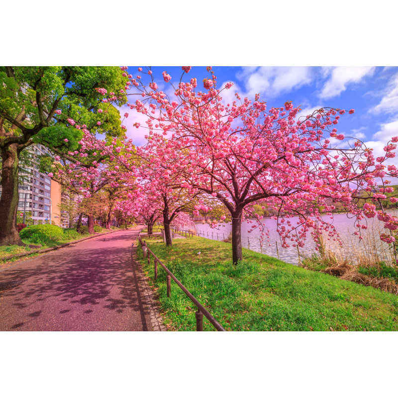 Ueno Park - Wrapped Canvas Print, 61cm H x 91cm W x 3.8cm D