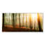 Forêt avec lumière du soleil - Photographie sur toile-682581068-682581057