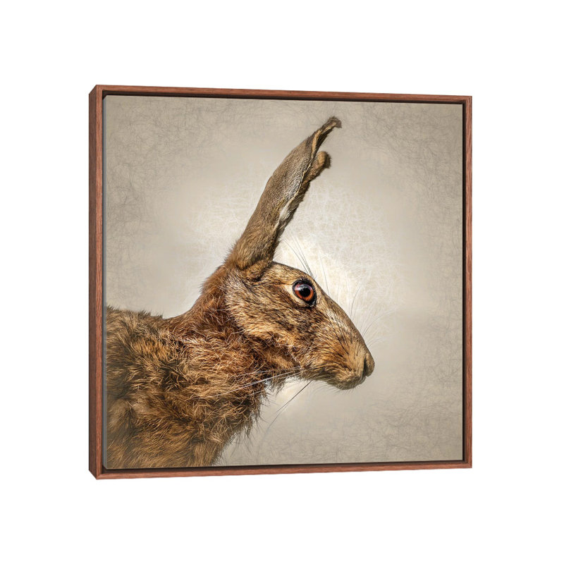 « Hare » par Mark Gemmell-impression d’art graphique, Pas de tapis, H 37 po x l 37 po x P 1,5 po