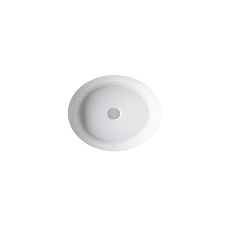 Artifacts 21-1/4 In. Oval Undermount Bathroom Sink