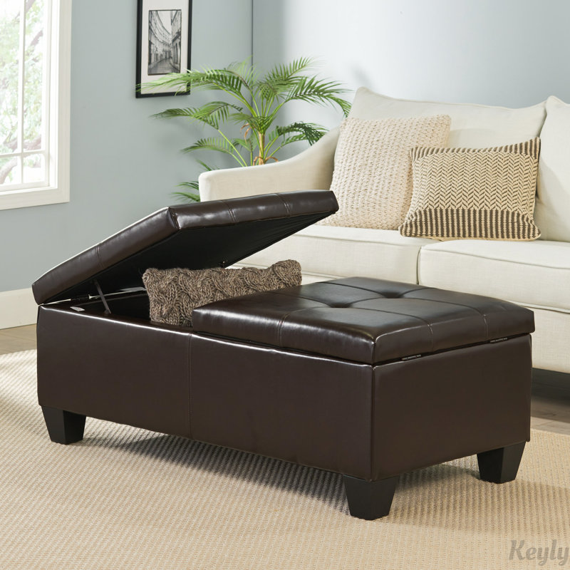 Banc de rangement repose-pieds, Brun