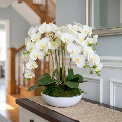 Orchid Floral Arrangement