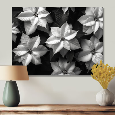 Beauté botanique monochrome poinsettias - Décoration murale poinsettias