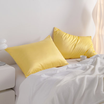 Satin Pillow Cases, Zippered Pillowcases for Hair and Skin - NTBAY