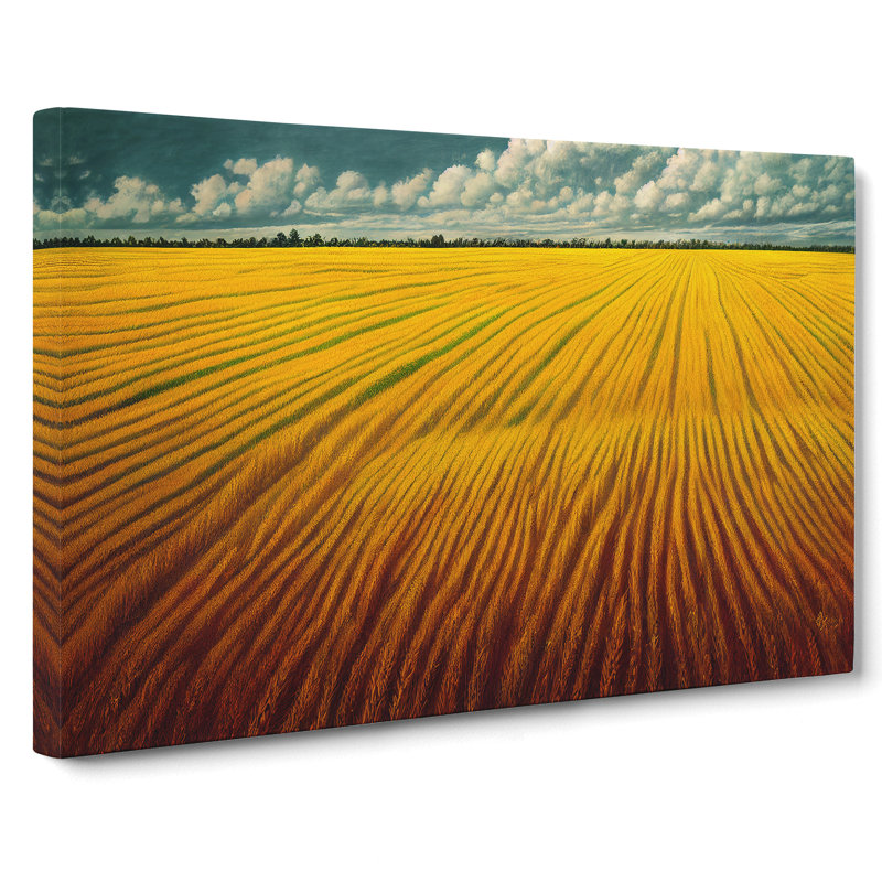 Bright Wheat Field - Wrapped Canvas, 50cm H x 76cm W x 3cm D