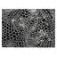 Colwart Geometric Indoor / Outdoor Rug-109580859