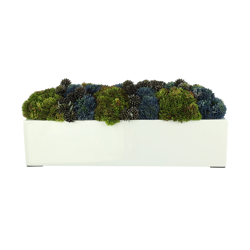 Sedum and Lucky Berry Arrangement in Fiberstone Planter