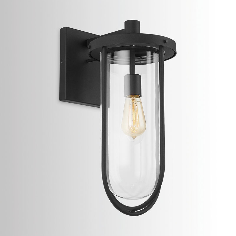  Lanterne murale d'extérieur en verre transparent noir à 1 ampoule, H 18,5 po x l 8,25 po x P 11,25 po