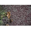 Tapis décoratif Elemental - imprimé géométrique vieilli bourgogne-695089065