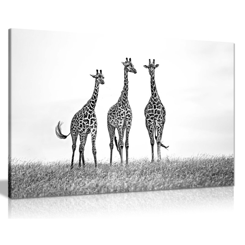 Panther Print Fine Art Prints Black & White Giraffes Wildlife Artistic Framed Canvas Prints, Pictures For Home Walls, Bedroom, Living Room & Bathroom Decor - Wrapped Canvas Art Prints