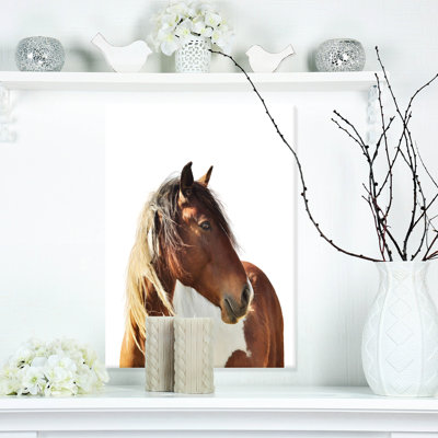" Large Brown Horse Illustration "