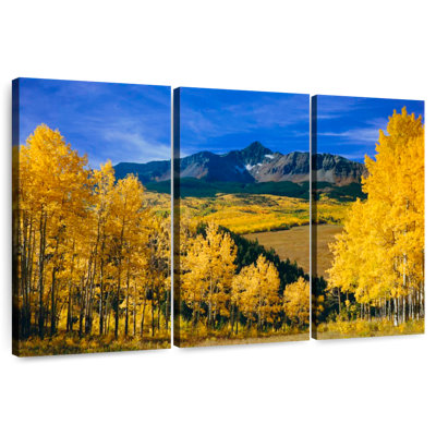 Alvord Autumnal Aspen Trees