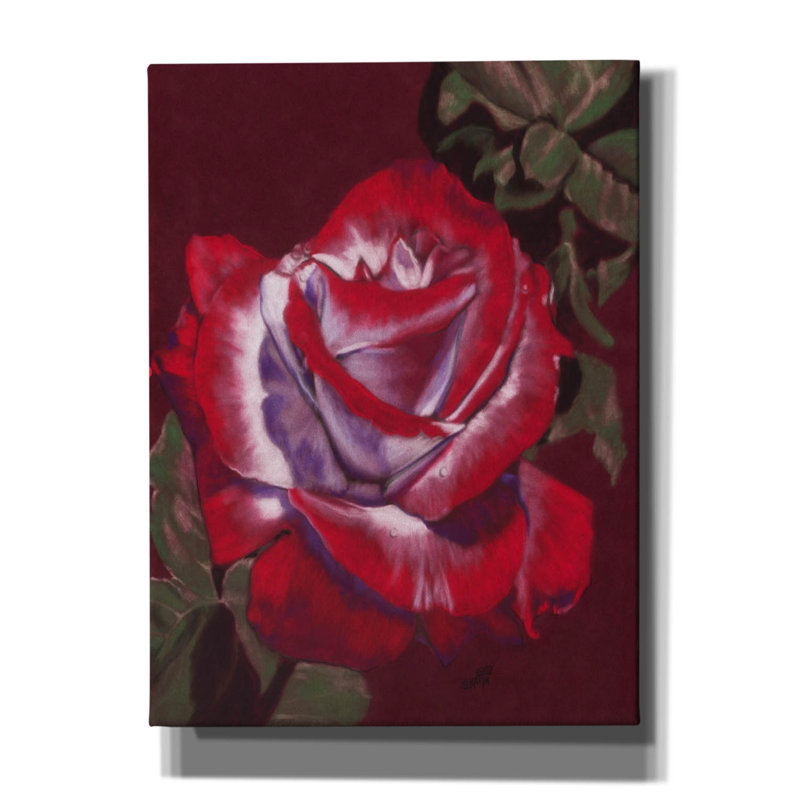 'Ruby' by Barbara Keith, Canvas Wall Art, 54" H x 40" W x 1.5" D