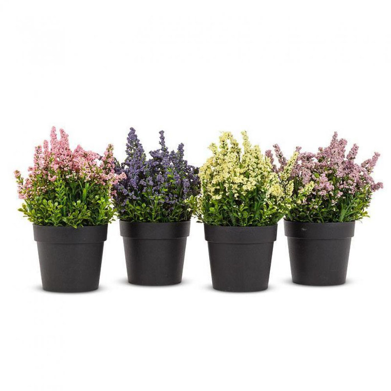 Arrangement de lavande en pot