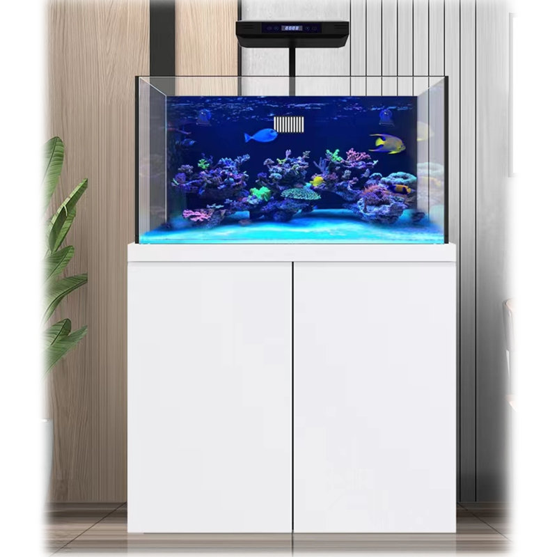 100 Gallon White Glass Saltwater Aquarium with Stand