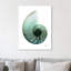 Shimmering Snail 4 - Wrapped Canvas Print-592581154