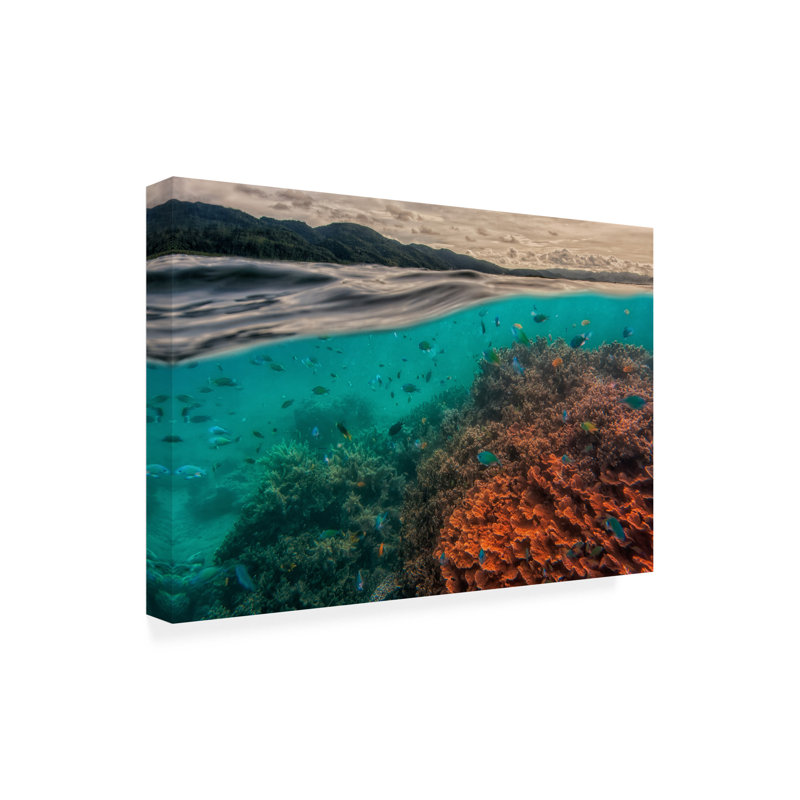 Art mural sur toile tendue - Pavol Stranak «Uri Marine Reserve» pour décoration de salon, de chambre à coucher ou de bureau - 30 x 47