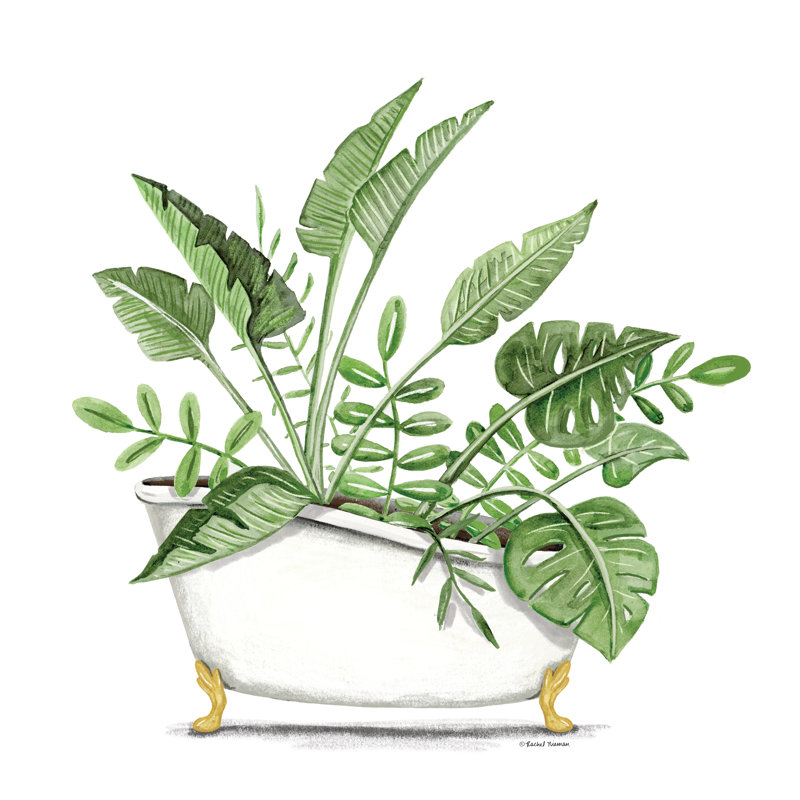 «Jantel Greenery In A Bathaign on Canvas» par Rachel Nieman, reproduction, H 12 po x l 12 po