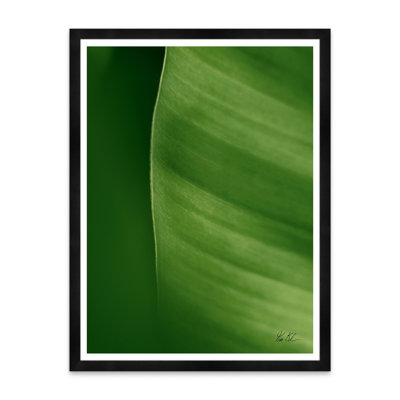 Moshi Banana Leaf Print by Tim Klein