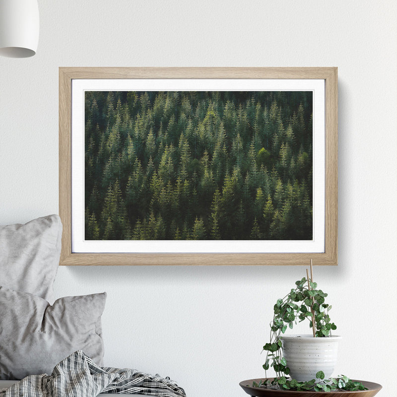 Beauty Of The Pine Tree Forest - Single Picture Frame Painting on MDF, Oak, 33cm H x 45cm W x 2cm D