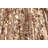 Sienna Brown Rug 5'5" x 8'0"