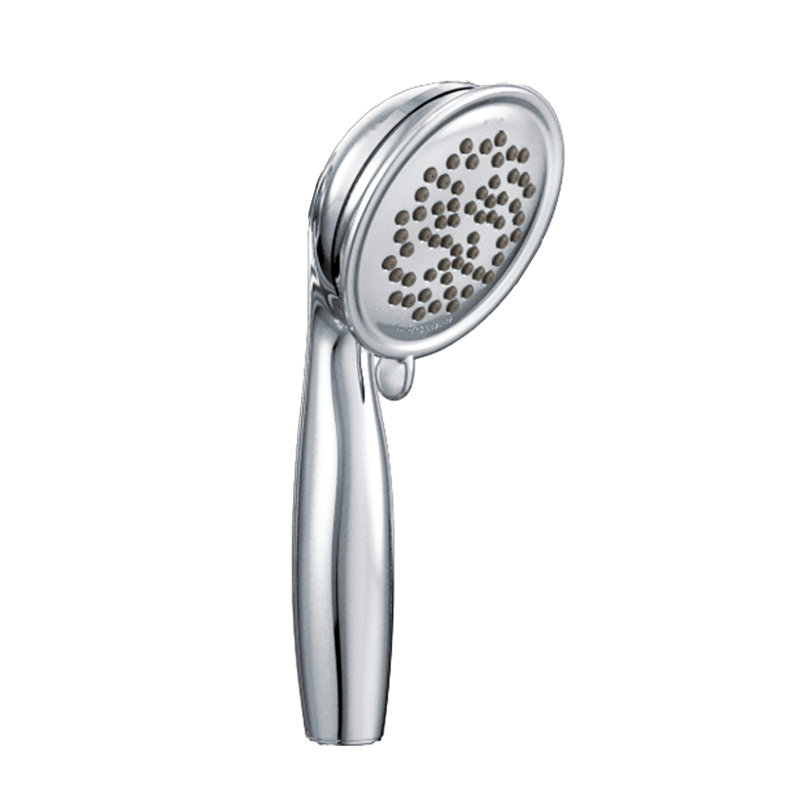 Envi 2-Function Multi Function Handheld Shower Head, Chrome