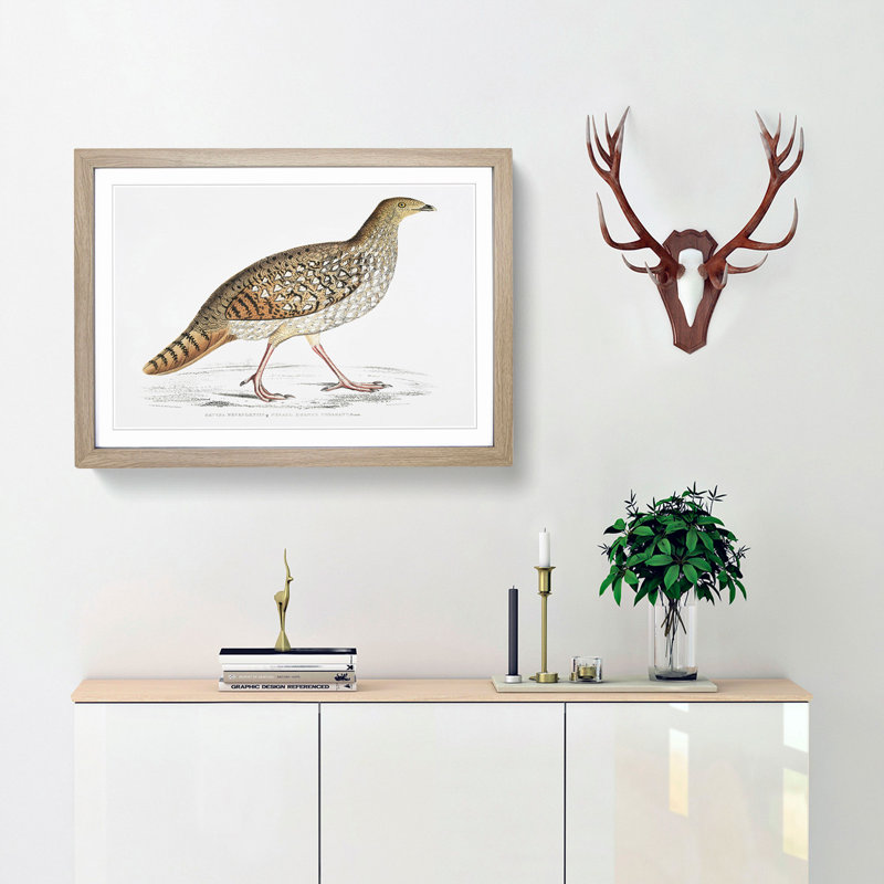 Pheasant Illustration by John Edward Gray - Picture Frame Painting Print, Oak Framed, 48cm H x 65cm W x 2cm D