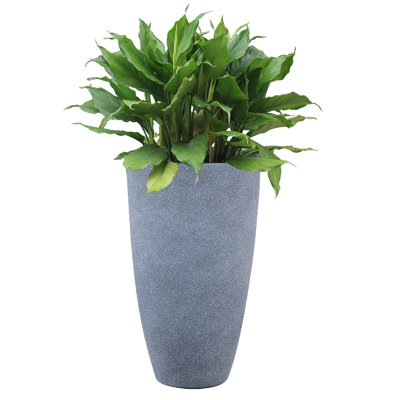 Nova 12'' W Round Planter with Tray