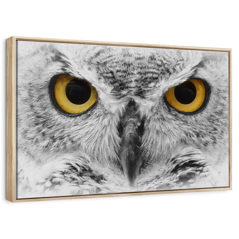 Chouette audacieuse, Cadre flottant en bois naturel, 40 po x 27 po