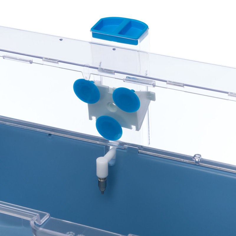 Bouteille d'eau pour petits animaux MidWest Homes, H 7,29 po x l 3,08 po x P 3,86 po