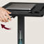 Tray Table