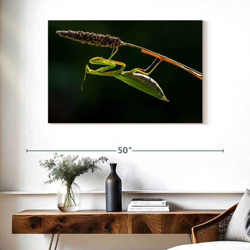 Hanging Praying Mantis, 26" H x 39" W