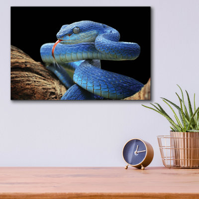 «Blue Viper Snake» par Epic Portfolio, art mural en verre acrylique