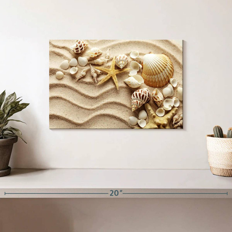 Aletra, coquillages sur les vagues de sable, H 8 po x l 12 po