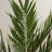 60'' Faux Tree in Pot