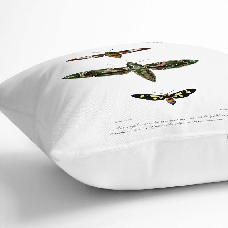 Moth Illustrations PL.9 by Charles D' Orbigny Cushion with Filling, White, 55cm H x 55cm W x 20cm D