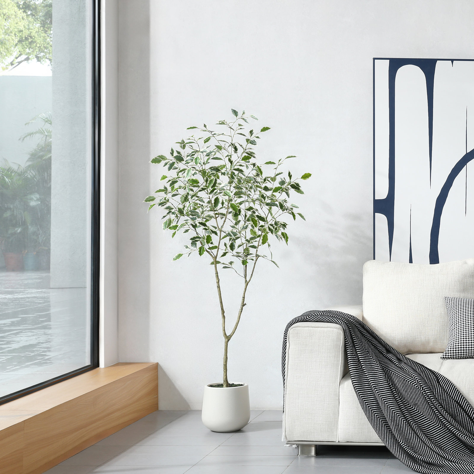 Adagio Ficus Tree in Pot, 60" H x 20" W x 20" D