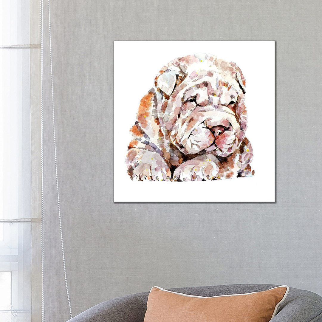 Shar Pei 1PC6