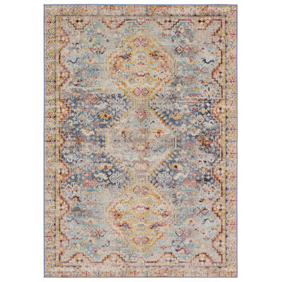 Oriental Indoor Rug