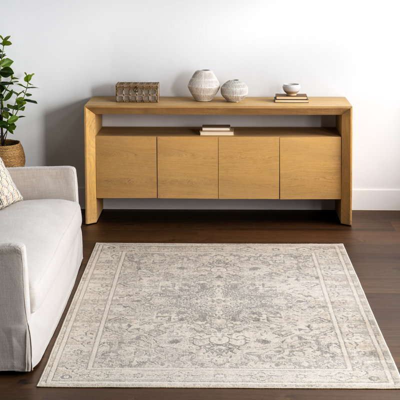 Downley Traditional DIstressed Area Rug, Rectangle 4' x 6'