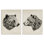 Portrait d'un ours brun, ensemble de 2 reproductions d'art sur toile par Victoria Barnes