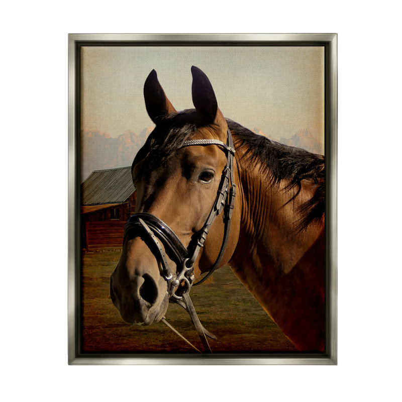 Portrait de cheval brun encadré sur toile par Marcus Prime, Cadre flottant gris lustré, H 31 po x l 25 po x P 1,7 po
