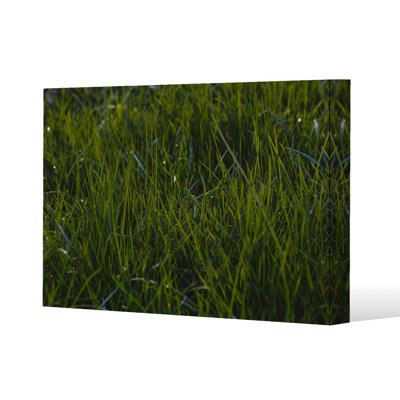 Fresh grass background, natural grass Slim Style Canvas Print, 15mm Slim Real wood.