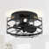 Anthony 12.5'' Black Caged Ceiling Fan with Lights and Remote Control, Small Flush Mount Ceiling Fan