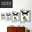 «Antique Blue Butterflies I», reproduction encadrée - bois massif-2006321445-2006321454