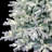 Lighted Spruce Christmas Tree-847790734