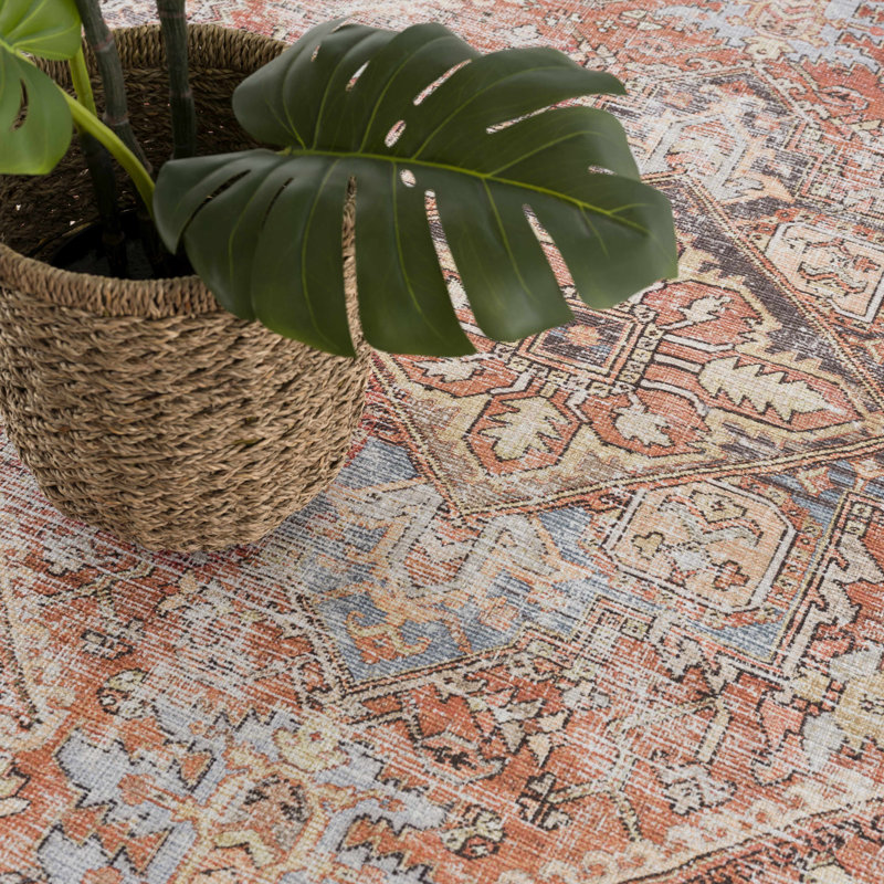 Eira Light Blue and Rust Polyester Washable Area Rug