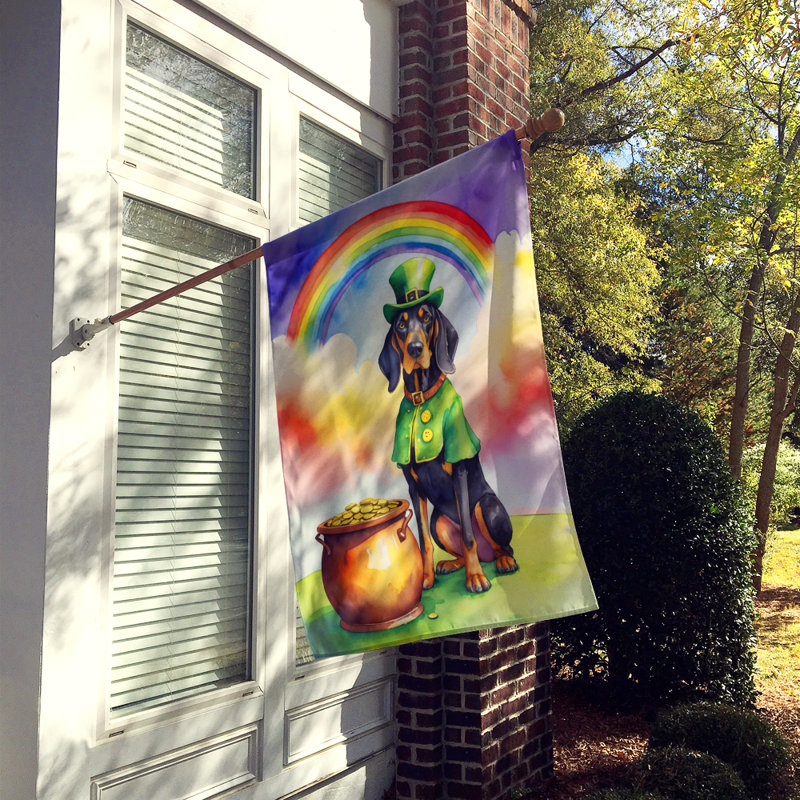 Drapeau double face en polyester H 40 po x l 28 po St Patrick's Day House