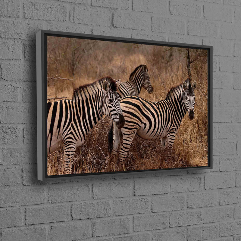 Print on Canvas, 20 cm H x 30 cm W, Black Floater Framed